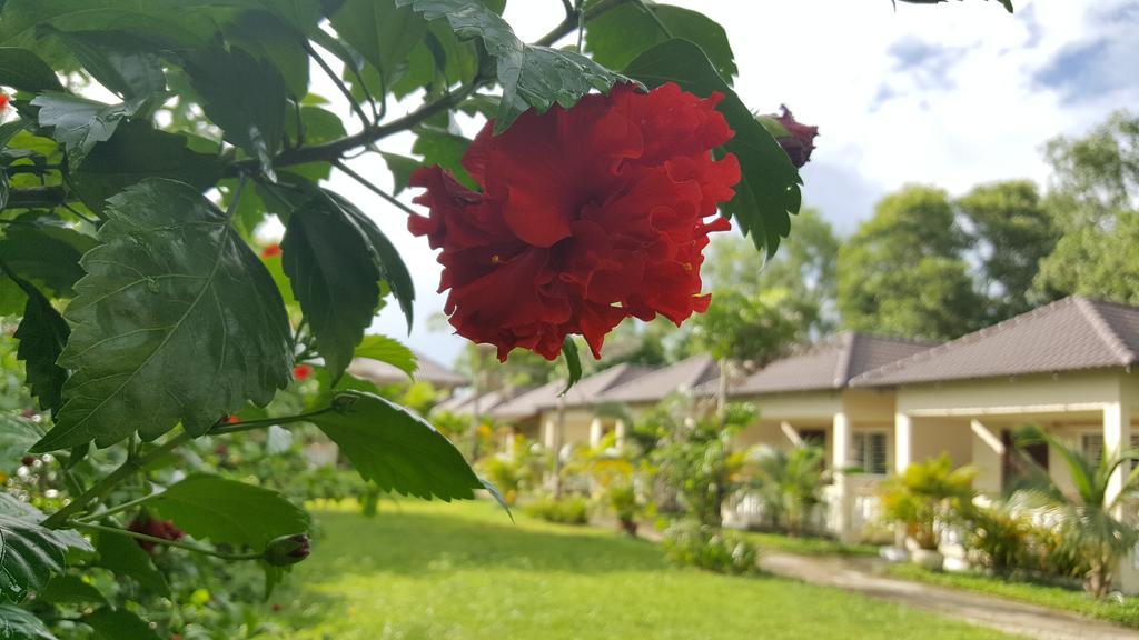 The Moonflower Bungalow 호텔 시아누크빌 외부 사진